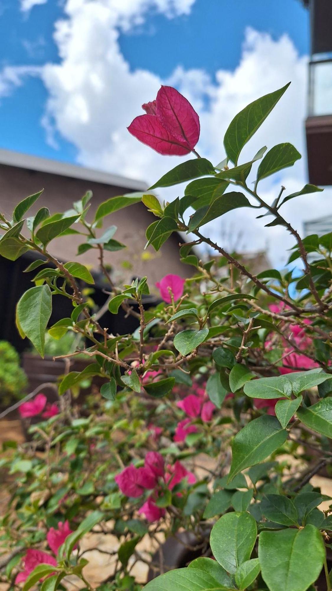 NOSSO LOFT ENCANTADOR em Campos do Jordão Exterior foto